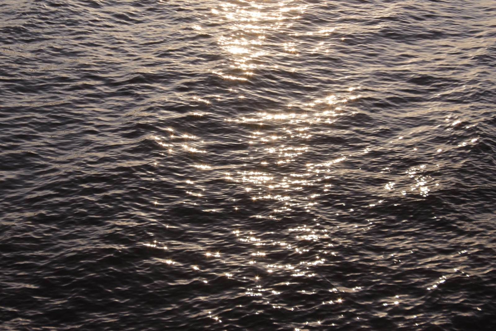 Laguna de Bay